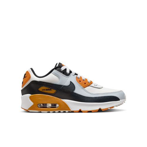 Nike Air Max 90 LTR