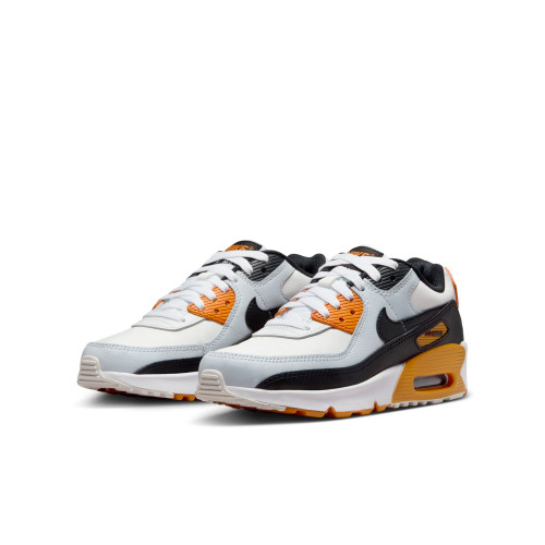 Nike Air Max 90 LTR 2