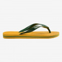 Havaianas Brasil Logo