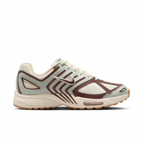 Nike Pegasus 2005
