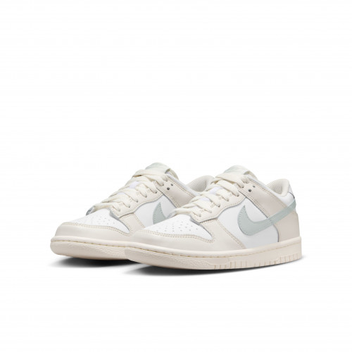 Nike Dunk Low GS 2