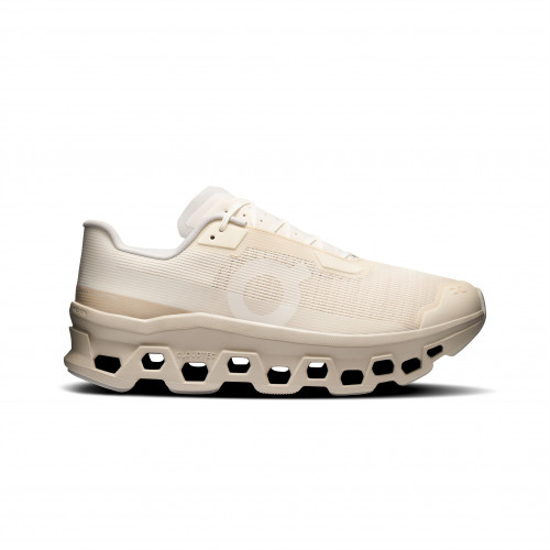 On Cloudmonster Void