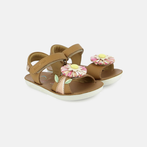 Shoo Pom Goa Rififi 2