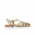 Meduse Sunville