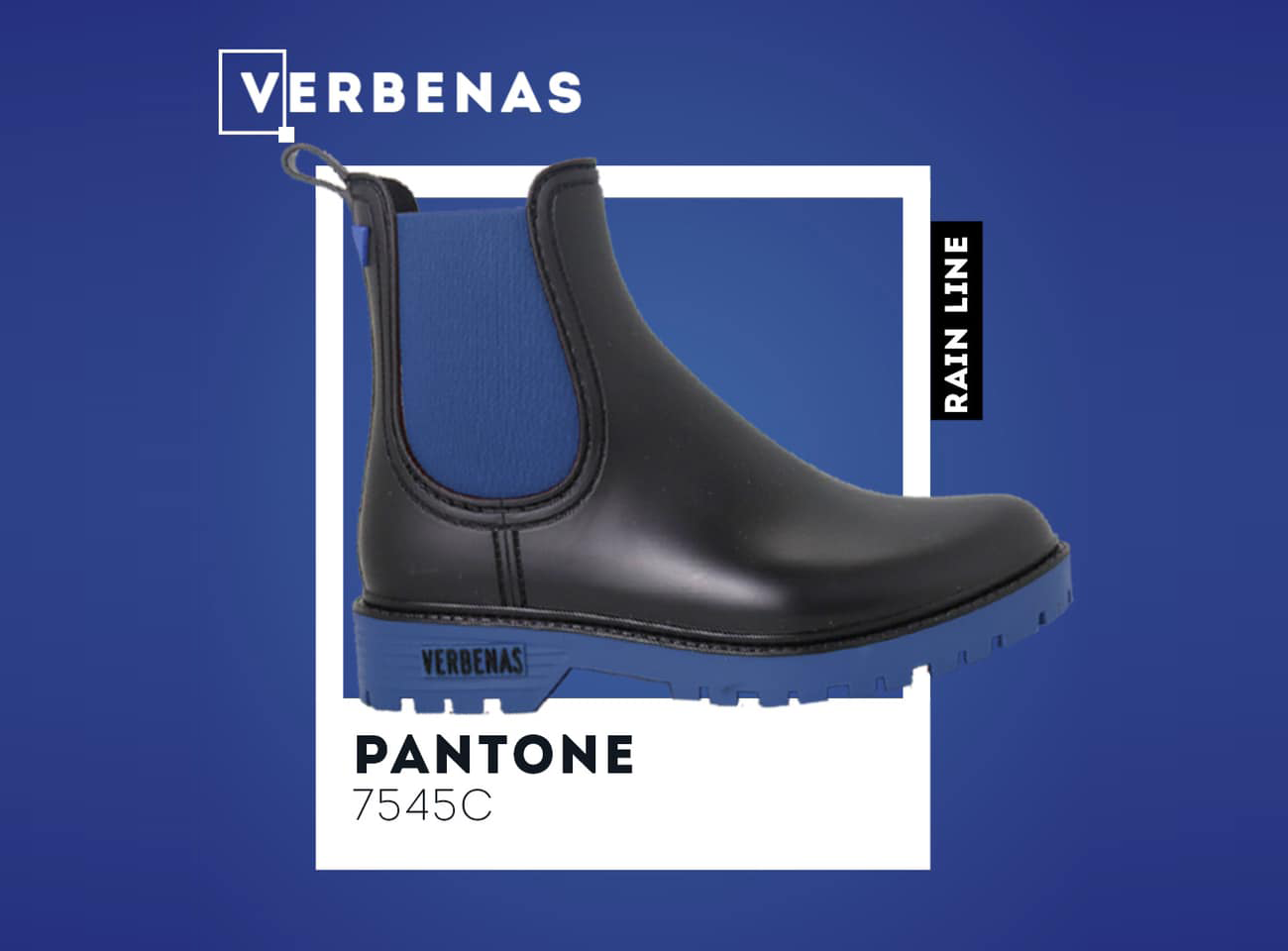 Verbenas